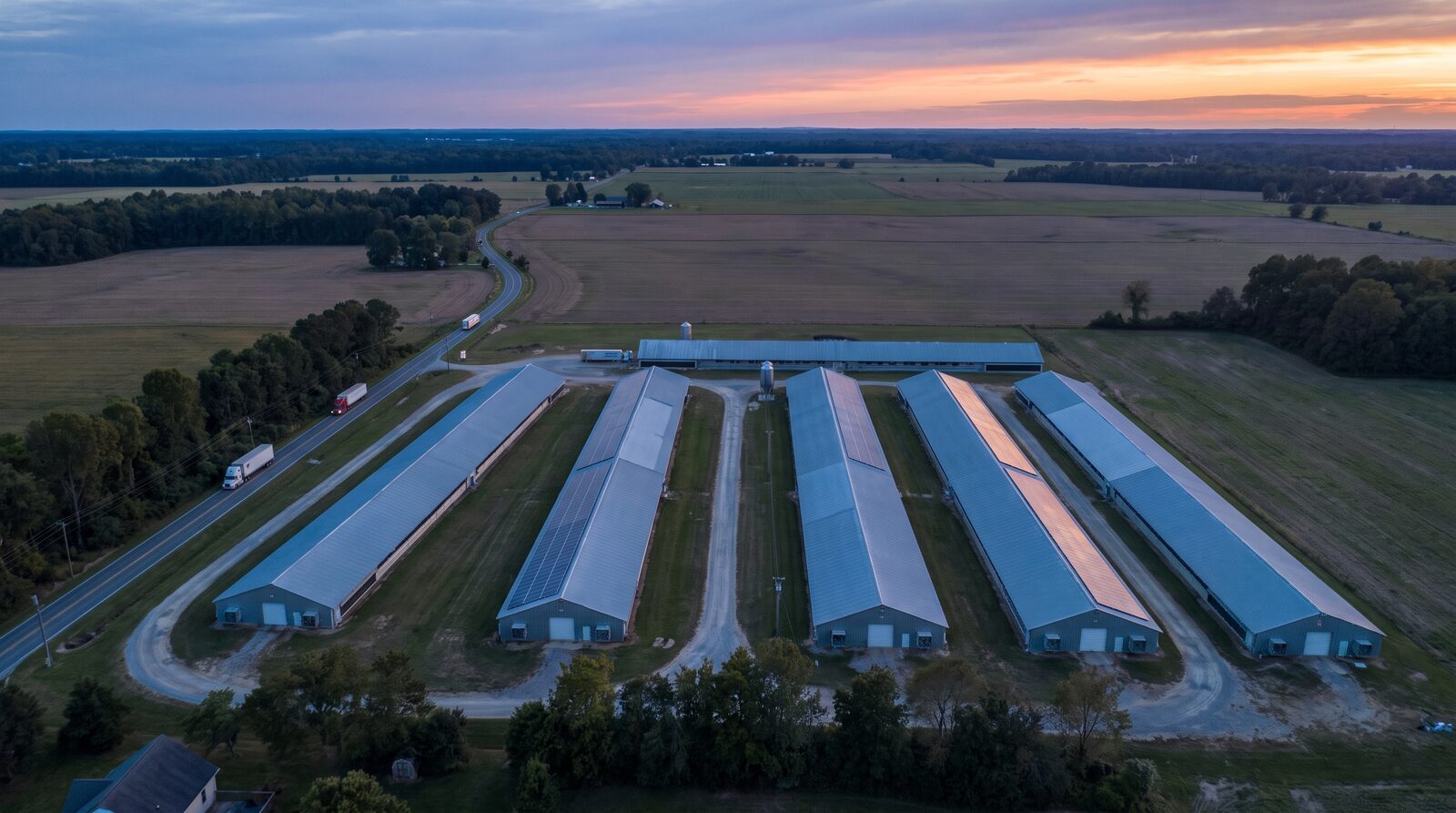 Aerial view at dusk of six long poultry houses arranged in parallel rows on Delmarva farmland, metal roofs catching the last light, one roof already fitted with solar modules.